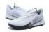 2020 Nike Mamba Fury EP White Wolf Grey CK2087 100