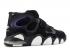Nike Air Cb 34 Sir Charles Purple White Black Varsity 316940-011
