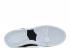 Dunk High Pro SB Grip Tape White Black Anthracite 305050-028