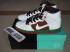 Nike DUNK SB High Skateboarding Unisex Shoes Lifestyle Shoes White Brown Black 313171