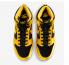 Nike SB Dunk High Goldenrod Satin Black Varsity Maize White FN4216-001