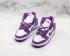 Womens Nike SB Zoom Dunk High Pro Purple White 854851-300