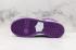 Womens Nike SB Zoom Dunk High Pro Purple White 854851-300