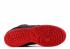 Dunk Low Pro Sb True Black Red 304292-061