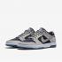 Nike DUNK SB Low Skateboarding Shoes Lifestyle Unisex Shoes Deep Grey Black 864345-004