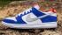 Nike DUNK SB Low Skateboarding Shoes Lifestyle Unisex Shoes White Blue Silver 839685-416