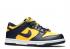 Nike SB Dunk Low Gs Michigan 2021 Maize Midnight Navy Varsity Orange White Total CW1590-700