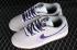 Nike SB Dunk Low 85 Grey Purple Black DO9457-103