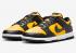 Nike SB Dunk Low Black University Gold White FZ4618-001