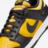 Nike SB Dunk Low Black University Gold White FZ4618-001