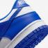 Nike SB Dunk Low GS Racer Blue White DV7067-400