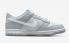 Nike SB Dunk Low GS Two-Toned Grey Pure Platinum White DH9765-001