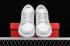 Nike SB Dunk Low Grey Fog White Shoes DD1391-103