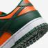 Nike SB Dunk Low Miami Hurricanes Team Dark Green White DD1391-300