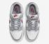 Nike SB Dunk Low Pale Ivory Redwood Light Silver Sail Black DD1503-122