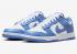 Nike SB Dunk Low Polar Blue White DV0833-400