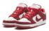 Nike SB Dunk Low Pro - Valentine Day University Red White 304292-612