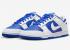 Nike SB Dunk Low Racer Blue White DD1391-401