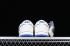 Nike SB Dunk Low TS Sail Navy Blue White FC1688-113