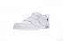 Off White X Nike Nike Dunk Low Pro Sb White Blue Orange 332558-164