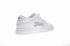Off White X Nike Nike Dunk Low Pro Sb White Blue Orange 332558-164