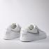 Nike Blazer Low 2017 Lifestyle Shoes White Silver