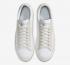 Nike SB Blazer Low Leather Platinum Tint White Sail CW7585-100