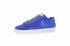 Nike Zoom Blazer SB Low GT White Blue Mens Shoes 704939-118