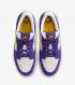 Nike SB Force 58 Court Purple Amarillo White DV5477-500