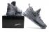 Nike Zoom KD 9 EP IX Battle Grey Kevin Durant Men Basketball Shoes 844382-002