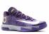 Kd 6 Bhm Bhm Purple Dynsty Gold Vnm Metallic 646742-500