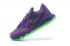 Nike KD 8 Suit MVP Award Aunt Pearl Christmas Weatherman N7 BHM Court Purple Green 749375-535