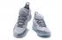 Nike Zoom KD 11 Wolf Grey AO2605-900