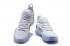 Off White X Nike Zoom KD 11 White Black AO2605