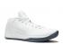 Nike Kobe Ad Mid Pure Platinum White 922482-004