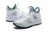 Nike Zoom Lebron Soldier XII 12 SVSM White Green AO4053-100