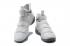 Nike Zoom Lebron Soldier XI 11 EP Beige Light Grey 897647-005