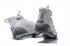 Nike Zoom Lebron Soldier XI 11 EP Beige Light Grey 897647-005