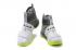 Nike Lebron Soldier 10 EP X Men White Grey Green Basketball Shoes Men 844378-103