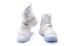 Nike Lebron Soldier 10 SFG EP X James Strive for Greatness White Gold 844379-101