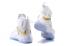 Nike Lebron Soldier 10 SFG EP X James Strive for Greatness White Gold 844379-101