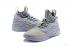 Nike Lebron Witness III 3 High Grey Gold 884277-003
