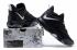 Nike Ambassador LBJ 10 Black White AH7580-001