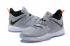 Nike Ambassador LBJ 10 Grey Black AH7580-003