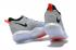 Nike Ambassador LBJ 10 Grey Black AH7580-003