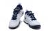 Nike LeBron Ambassador 10 White Midnight Navy Metallic Gold AH7580 100