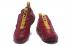 Nike Ambassador LBJ 11 Wine Gold AO2920-605