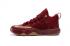 Nike Ambassador IX 9 Lebron Jame Marroon Golden Men Basketball Shoes 852413