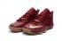 Nike Ambassador IX 9 Lebron Jame Marroon Golden Men Basketball Shoes 852413