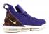 Nike Lebron Xvi King Court Purple Gold Metallic AO2588-500